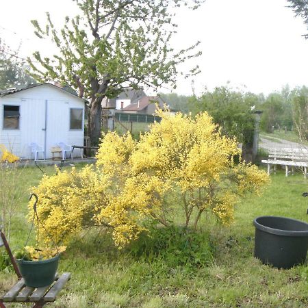 Ferme Lenfant Casa de hóspedes Ville-Pommeroeul Exterior foto