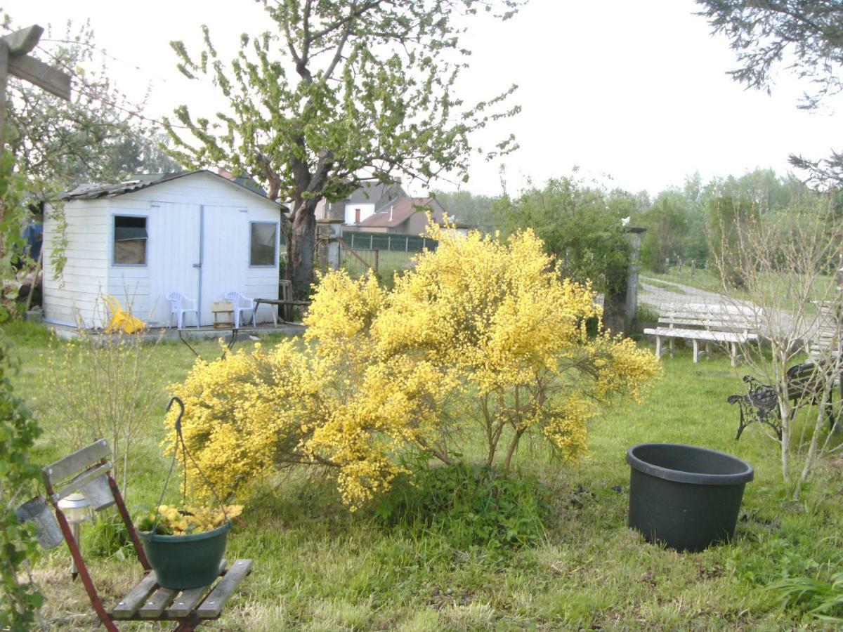 Ferme Lenfant Casa de hóspedes Ville-Pommeroeul Exterior foto