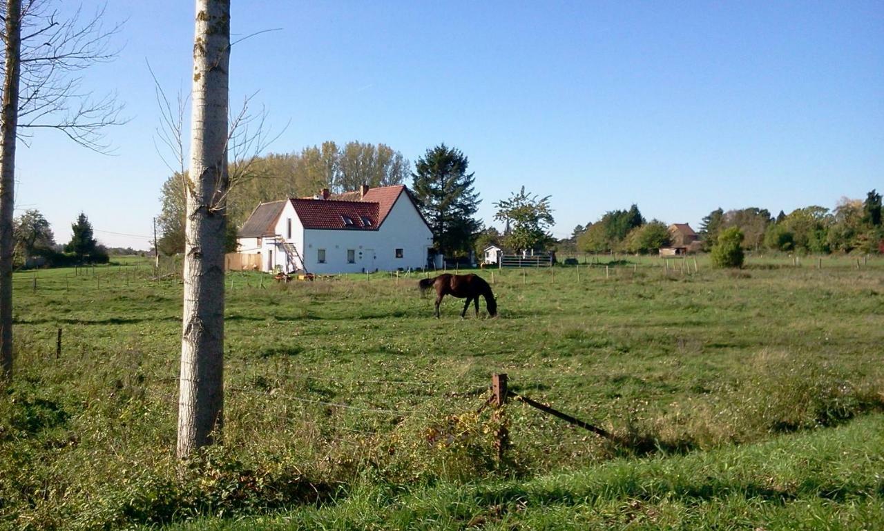 Ferme Lenfant Casa de hóspedes Ville-Pommeroeul Exterior foto